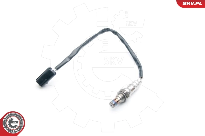 Oxygen Sensor